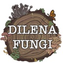 Dilena Fungi